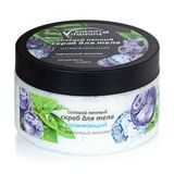 Енергія Вітамінів Скраб Для Тіла Сольовий Освіжаючий Чорничний Мохіто, 250мл