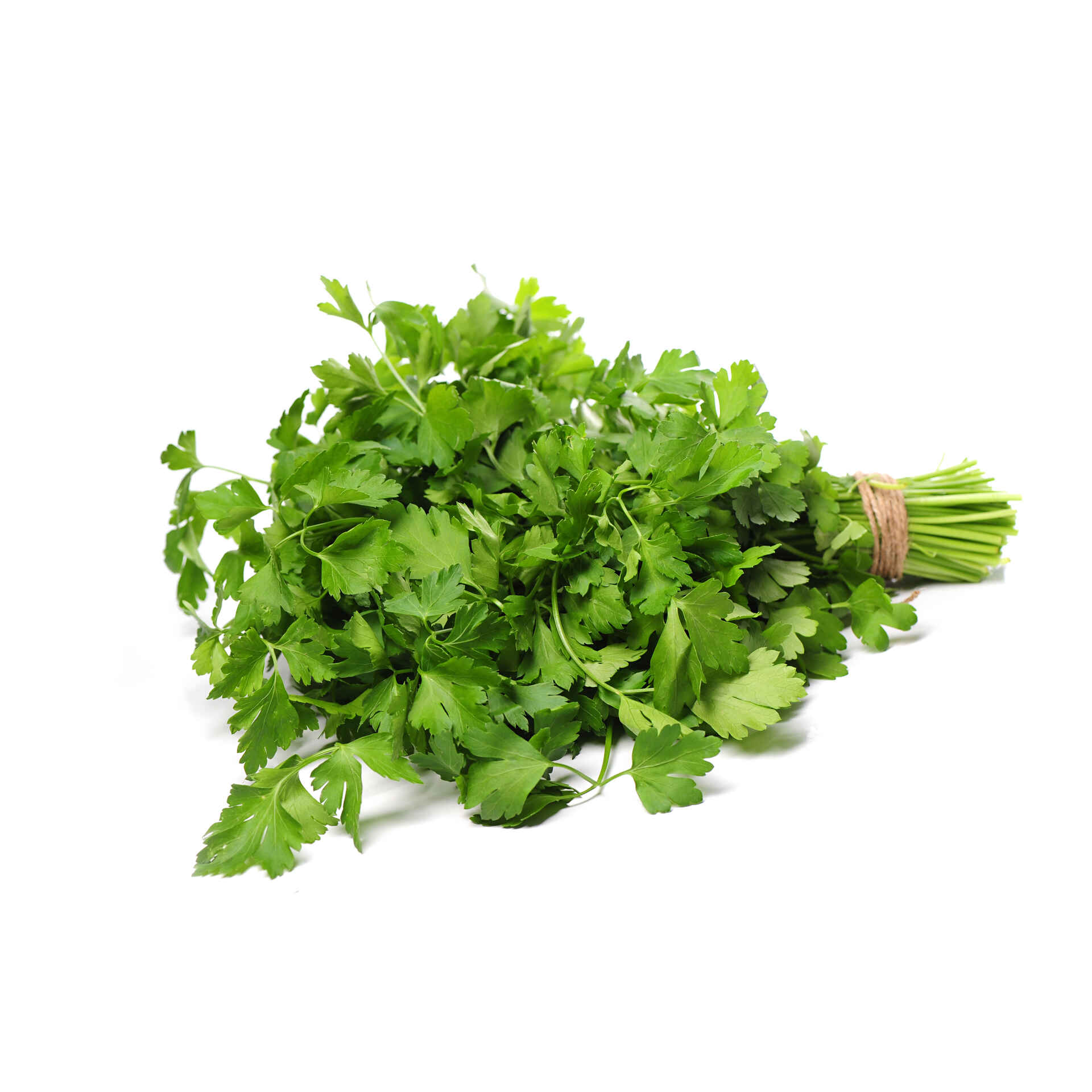 Ervas Aromáticas