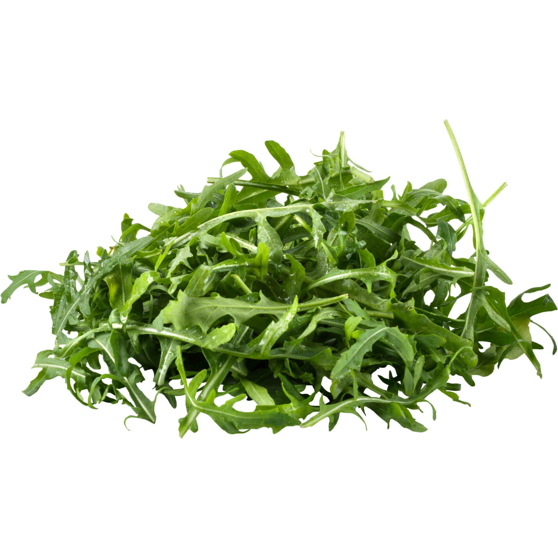 Salada, Preparados e Salteados