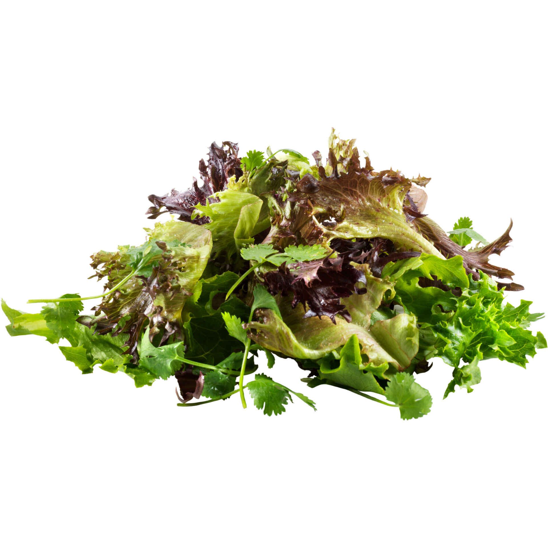 Salada, Preparados e Salteados