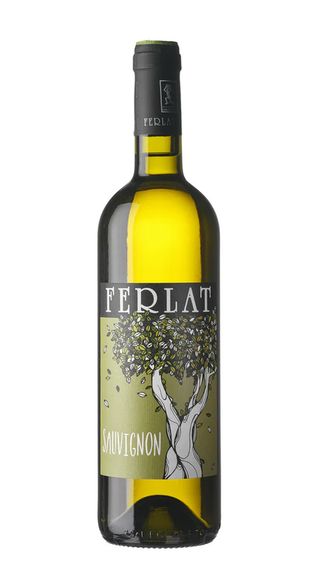 Sauvignon - Ferlat
