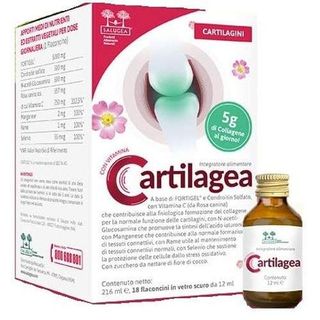 CARTILAGEA SALUGEA 18FL - 986112720