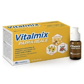 VITALMIX - Pappa Reale 10 Flaconcini - 939683506