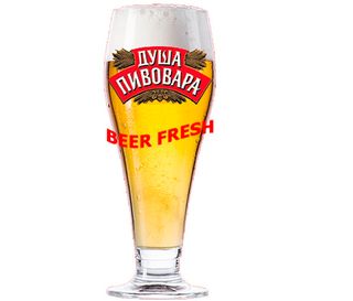 Душа Пивовара 1л