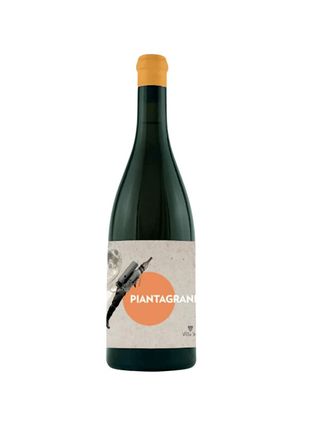 Piantagrane - Villa Job