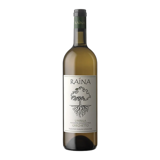 Grechetto - Raina