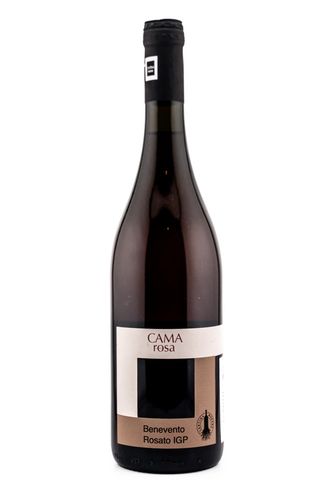 Camarosa - Cantina Morone