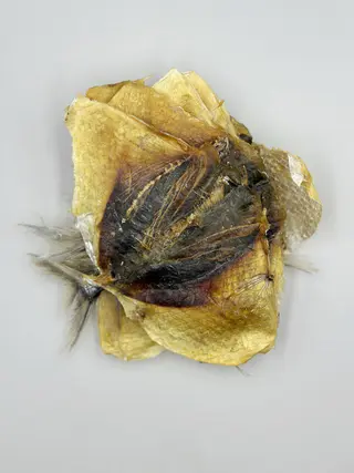 Moon Fish 50г