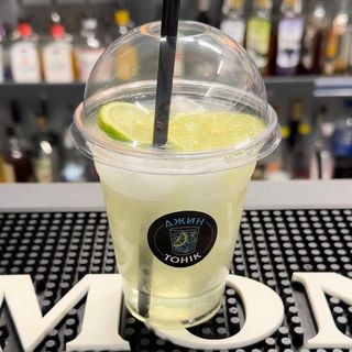 Джин Garden (360/200мл)