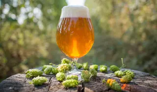 Пиво Ipa – Черкаська Баварія (1л)