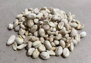 Арахіс Сіль 100гр.