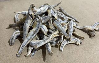 Анчоус 50гр.