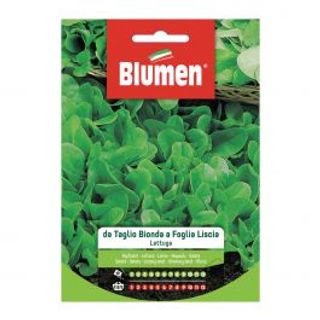 Lattuga Da Taglio Bionda Foglia Liscia 510510452