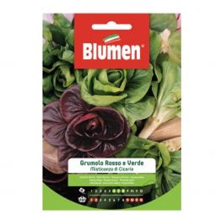 Semi Orto T Ev Misticanza Cicorie Grumolo Verde E Rosso Blumen 510007183