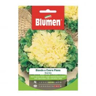 Scarola Bionda Cuore Pieno 510510467