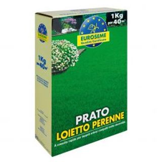 Loietto 1000 G Euroseme 510540096