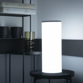 Lampada Da Tavolo Klemens Plastica Bianco H30 Cm Led 4.5w Cct Dimmerabile Con Telecomando 420007017