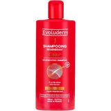 Шампунь Evoluderm (еволюдерм) Д/фарбован. Волосся Відновлюючий 400 Мл
