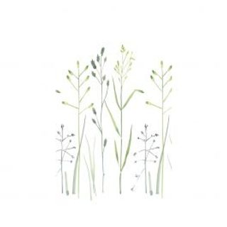 Tenda Doccia Prato L 120, H 200 Cm Tessuto 430005999