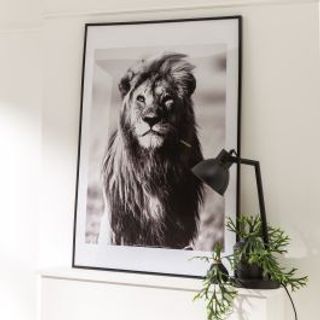 Cornice Lila 30x40 Cm Pvc Nero 480005071