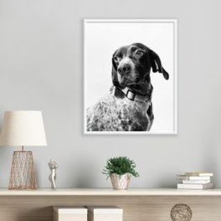 Cornice Bomberino 30x40 Cm Legno Bianco 480001758