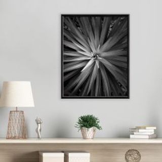 Cornice Bomberino 30x45 Cm Legno Nero 480730276