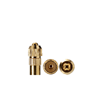 Spina Tv Coassiale Femmina Oro Evology 420230512