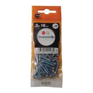 Bullone 3 X 16 Mm Testa Cilindrica Ph, Dado E Rondella 30 Pezzi 410120855