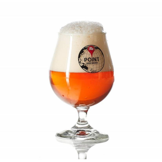 Гетьман Мазепа (1л)