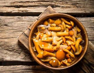 Опеньки (100г.)