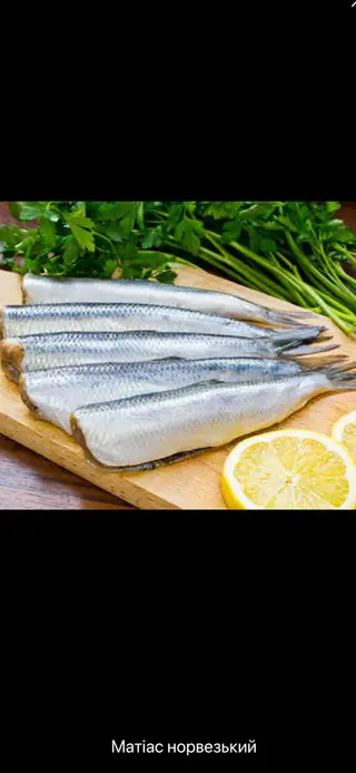 Матіас Норвезький (100г.)