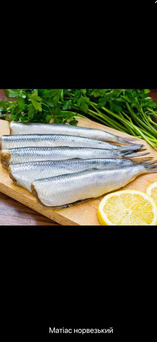 Матіас Норвезький (100г.)