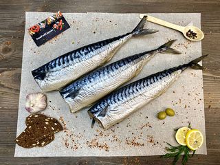 Скумбрія Провісна (100г.)