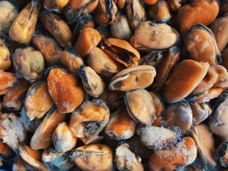 Мідії С/м (100г.)