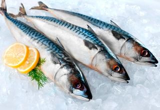 Скумбрія С/м (100г.)