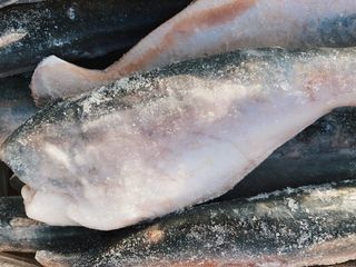 Тушка Сома С/м (100г.)