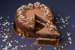 Торт "нічний Проскурів"  (1кг)