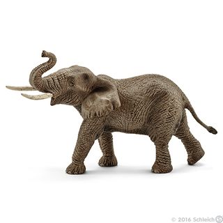 Figura de Elefante Africano Macho-14762