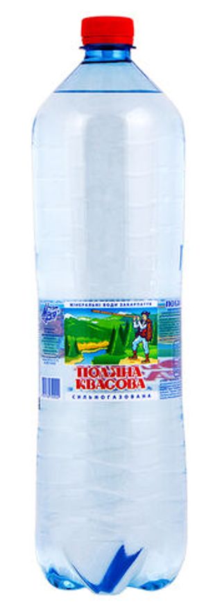 Поляна Квасова Вода Мінеральна Сильногазована 1,5 Л 1 Пляшка