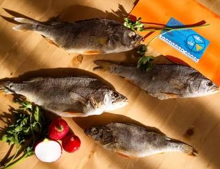 Окунь В'ялений Патраний (100г)