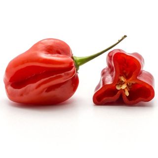 Scotch Bonnet Habanero Peppers, 500g