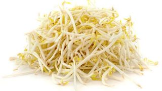 Fresh Bean Sprout Punnet