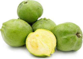 White Sapote Golden Apple, 1 Unit