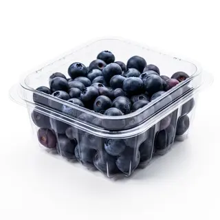 Blue Berries Punnet