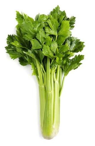Fresh Celery, 500g