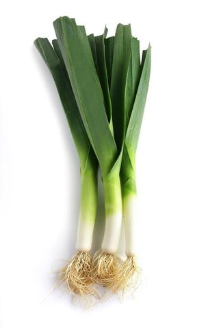 Fresh Leeks, 500g