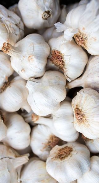 Fresh Garlic, 500g
