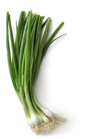 Fresh Spring Onions, 1 Piece