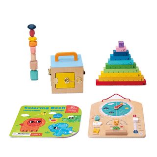 Розвивальна Іграшка Tookytoy Бізікуб І Дошка-погода (tk755)