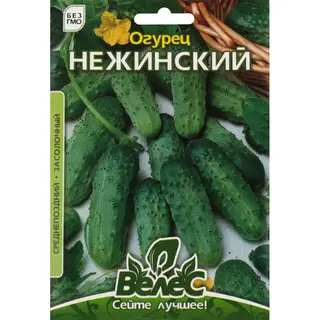 Насіння Огірків Ніжинський 5 Г Максі - [0083313]